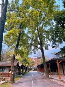 a street with trees in the middle of a town at TokuGawa Hotel in Shuili