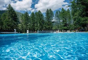 a swimming pool in the middle of a forest at Haus Rovina in Münster