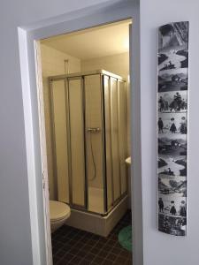 a bathroom with a shower and a toilet at Haus Rovina in Münster