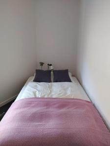 Una cama con una manta rosa y blanca. en Haus Rovina en Münster