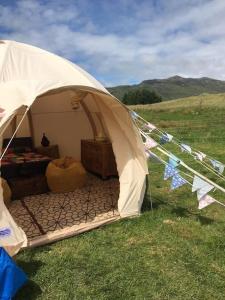 a tent in a field with a bed in it at sterlochy dome in Lochcarron