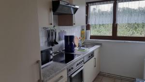 Kuchyň nebo kuchyňský kout v ubytování Ferienwohnung-Zweiburgenblick