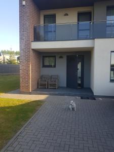 Domácí mazlíčci ubytovaní s hosty v ubytování Three bedroom house with garden by Klaipeda