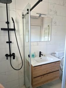 a bathroom with a shower and a sink at Apartman Milija in Trebinje