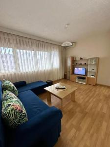 a living room with a blue couch and a table at Lakeside apartment in Struga