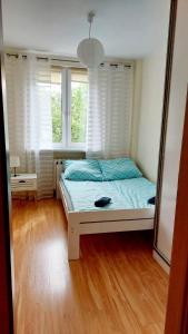 a bedroom with a bed and two windows at Mieszkanie przy Kanale Łuczańskim in Giżycko