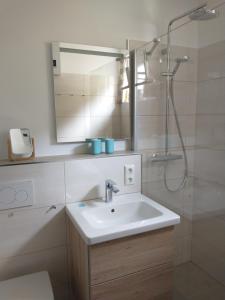 bagno con lavandino e doccia con specchio di Appartement Hardenack a Innerkrems