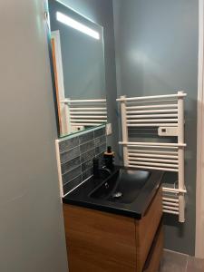 プロヴァンにあるStudio de Provinsのバスルーム(黒い洗面台、鏡付)