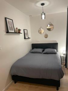 1 dormitorio con 1 cama grande en una habitación en Studio de Provins en Provins