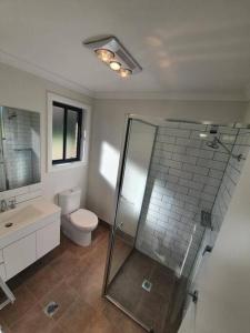 a bathroom with a shower and a toilet and a sink at Killara Kottage in Tumut