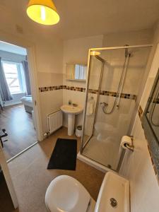 a bathroom with a shower and a toilet and a sink at Laverty's - The Black Bull Inn in Randalstown