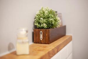 a plant in a wooden box sitting on a counter at Apartman Amelie in Sopron