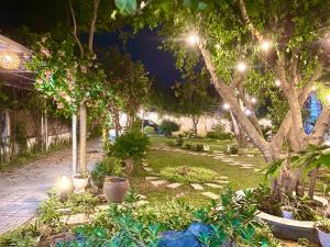 Taman di luar LQ villa -Long Hải