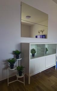a large white cabinet with potted plants in a room at Sky Puerto in Puerto del Rosario