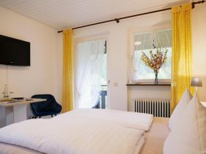 ゼーバハにあるSeebach-Hotelのベッドルーム1室(ベッド1台、デスク、窓付)