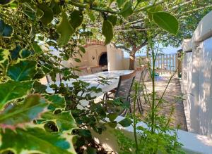 Fotografia z galérie ubytovania Seaview apartment Gordana - Diklo v destinácii Zadar