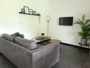 sala de estar con sofá y TV en Timmershoeve, en Vorstenbosch