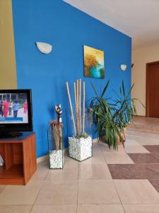 Complex Astra في ساني بيتش: غرفة معيشة مع جدران زرقاء ونباتات وتلفزيون
