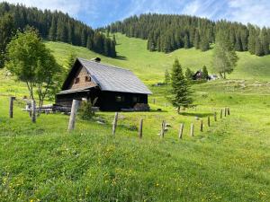 Eine Scheune mitten auf einem grünen Feld in der Unterkunft Jörgenbauerhütte in Spital am Pyhrn