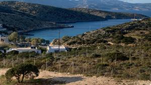 Φωτογραφία από το άλμπουμ του COSMOS Studios Iraklia στην Ηρακλειά