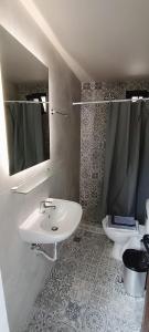 uma casa de banho com um lavatório, um WC e um espelho. em VILLA PENELOPE em Tourlotí