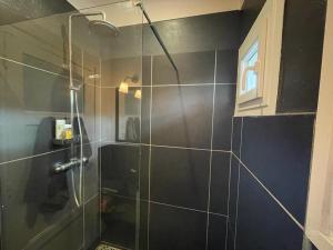 a shower with a glass door in a bathroom at Villa Landaise Rénovée Proche Plages - Jardin et Terrasse Privatifs - FR-1-413-80 in Capbreton +3 photos