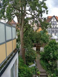 un árbol al lado de un edificio con jardín en Wachholz, Ferienwohnung en Celle