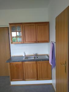 a kitchen with wooden cabinets and a sink at Hrnčírna in Kněževes