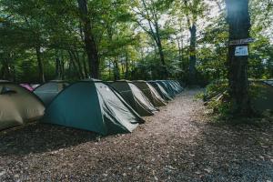 una fila di tende allineate nel bosco di Oktoberfest on a Budget Munich a Monaco