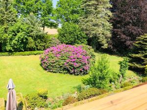 an overhead view of a garden with pink flowers at Hof Düshop in Bad Fallingbostel