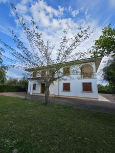 a tree in the grass in front of a building at Padre Relais di Campagna in Collemezzano