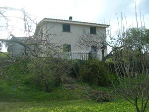 ein weißes Haus inmitten eines Gartens in der Unterkunft Villa Tirso in Sorso