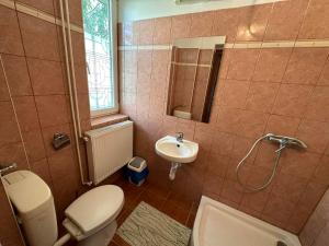 a bathroom with a toilet and a sink at THERMÁL vendégház in Sárospatak