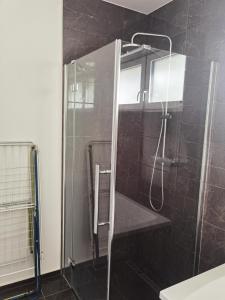 a shower with a glass door in a bathroom at Sunset House Piešťany Červená Veža in Banka
