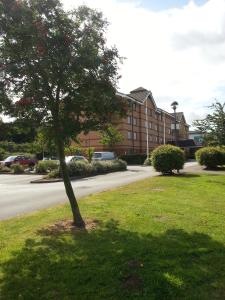 a tree in the grass in front of a building at Garner Hotel Rotherham East by IHG in Rotherham