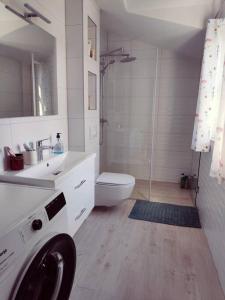 bagno con lavandino e servizi igienici e lavatrice. di Mala Villa a Kaštela (Castelli)