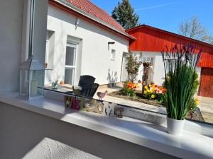 Vonkajšia záhrada v ubytovaní Fészek Vendégház