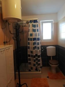 baño con ducha y aseo y ventana en Apartma Valbandon, en Fažana