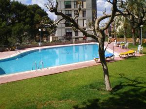 duży basen w parku z drzewem w obiekcie GEMELOS 15 TURIS - PREMIUM Apartamentos w mieście Benidorm