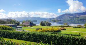a view of the lake from a garden at The Europe Hotel & Resort in Killarney