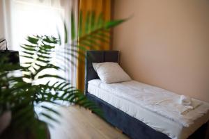 1 cama en una habitación con una planta junto a una ventana en Apartamenty Jawor, en Jawor