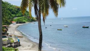 eine Palme am Strand mit Booten im Wasser in der Unterkunft L'heure Dorée - Charmant appartement vue mer in Saint-Pierre