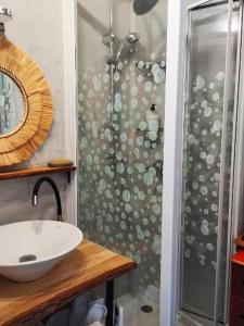 a bathroom with a shower and a white sink at LA TERRASSE DE NOTRE DAME in Le Havre