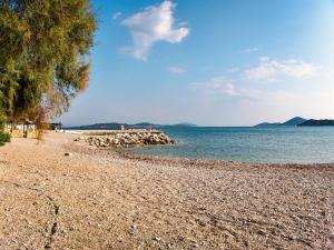 a rocky beach with a tree and the water at Apartment Josip - VOD201 by Interhome in Tribunj