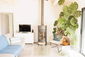 een woonkamer met een open haard en een tv en planten bij Maison 3 chambres plus 1 studio indépendant in Sainte-Marie-de-Ré