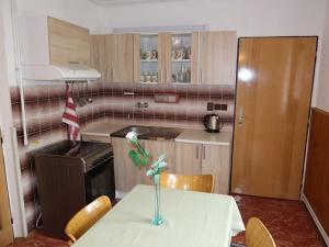 Kuchyňa alebo kuchynka v ubytovaní Holiday Home Plavsko by Interhome