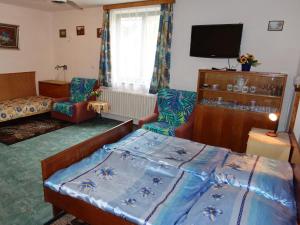 Televízia a/alebo spoločenská miestnosť v ubytovaní Holiday Home Plavsko by Interhome