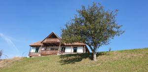 ein Haus auf einem Hügel mit einem Baum in der Unterkunft Hillside View Cottage - Csíksomlyó-panoráma vendégház in Păuleni-Ciuc