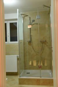 y baño con ducha y puerta de cristal. en Kleines Ferienhaus in Umkirch, en Umkirch