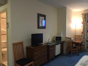 TV a/nebo společenská místnost v ubytování O Donovans Hotel